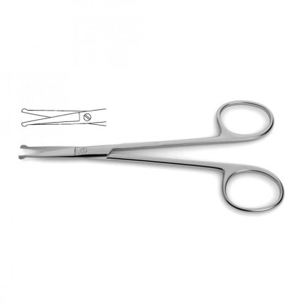 Dissecting Scissors